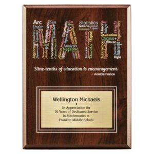 Amazing Educator Series - Math with Personalization Excellent Teacher Gift