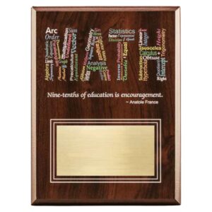 Amazing Educator Series - Math without Personalization Excellent Teacher Gift