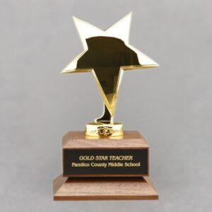 Gold Star Teacher Appreciation Idea for Your Superstar Educator - Engraved