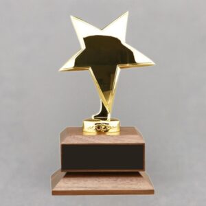 Gold Star Teacher Appreciation Idea for Your Superstar Teacher of the Year
