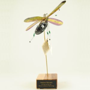 Tech Award GIGABYTE Computer Bug