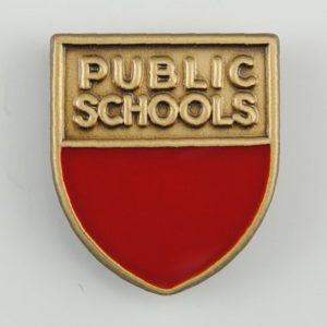 Teacher Recognition Week Gift Custom Lapel Pin - Public Schools