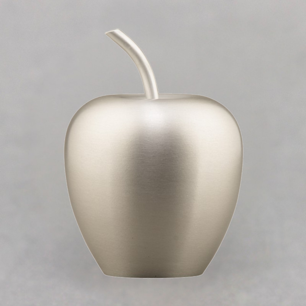 teacher-silver-paperweight-no-engraving