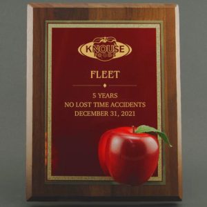 Engraved Red Apple Plaque Makes an a Great President's Award for Educational Excellence