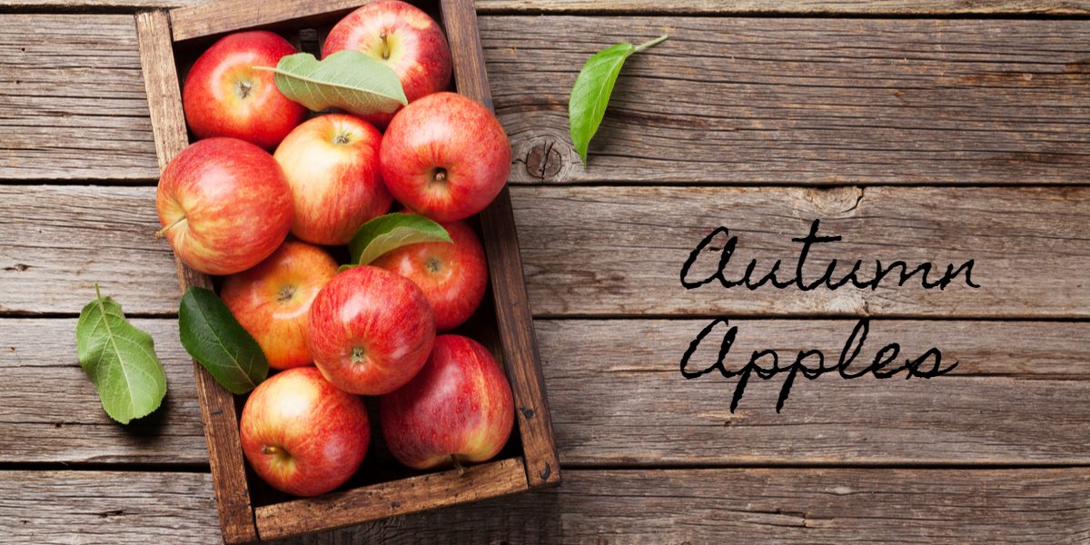 Autumn Apples Wooden Box Full of Ripe Apple Design