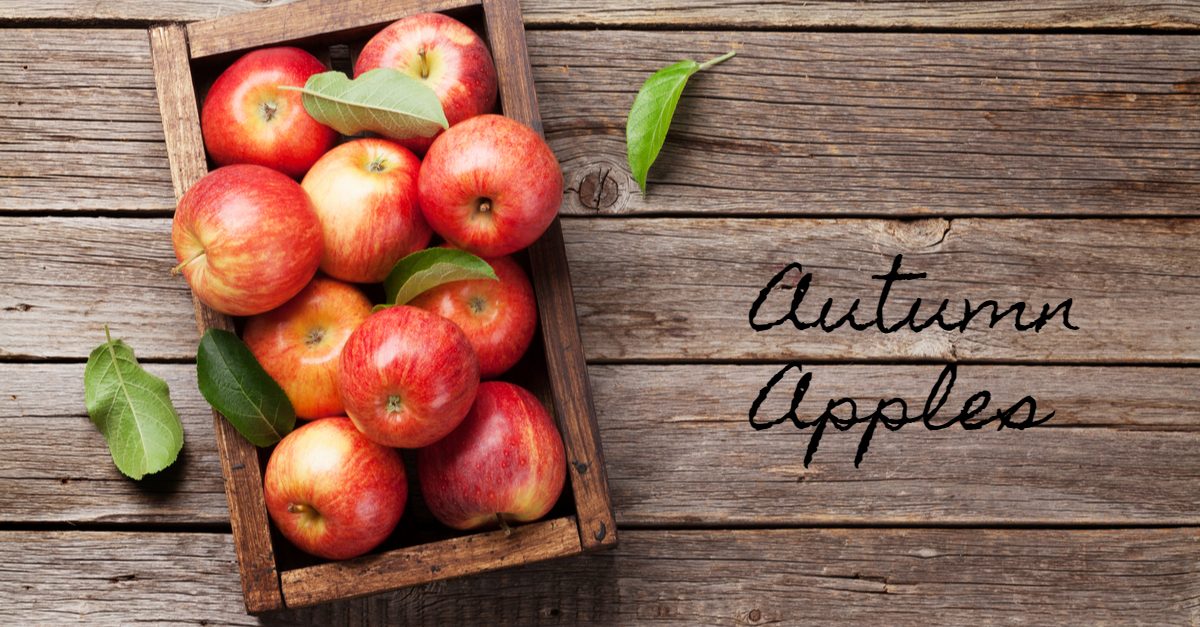 Autumn Apples Wooden Box Full of Ripe Apple Design