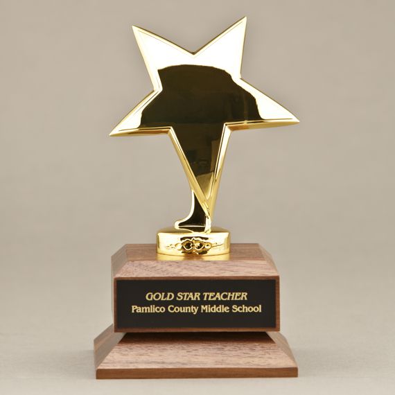 FREE Engraving 2sizes Premium Acrylic Colour Star Award Achieve School Trophy 