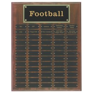 Coach of the Year Perpetual Plaque Laser Engraved - 60 Plate