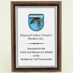 Custom 5 x 7 Cherry FInish Plaque for an Inexpensive Award