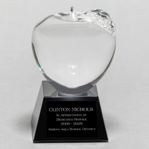 Glass Apple Trophy for Healthcare Worker Recognition