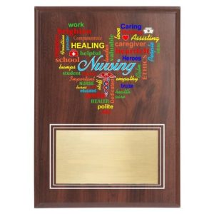 Nursing Excellence Plaque for Nurse Appreciation