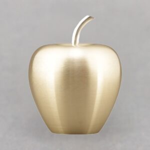 golden-teacher-of-the-year-recognize-paperweight